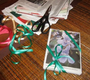 Eco Friendly Organizing