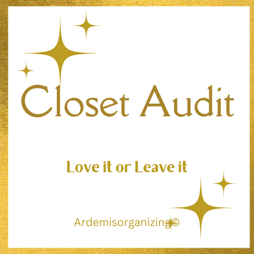 Closet Audit (1)